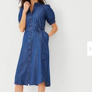 Ann Taylor Denim Shirt dress large & medium NWT
